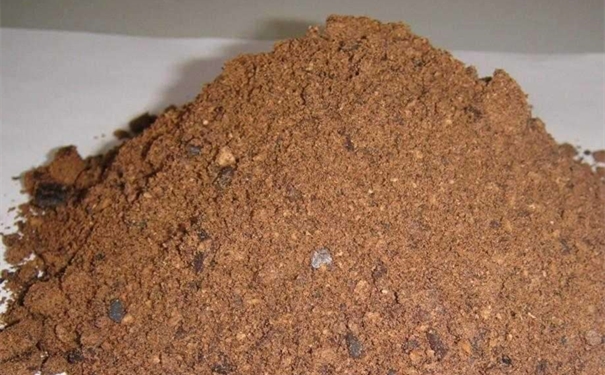 棕櫚粕進口報關所需資料一覽，了解一下