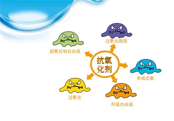 抗氧化劑進口報關流程手續(xù)經驗豐富 抗氧化劑進口報關_副本.jpg