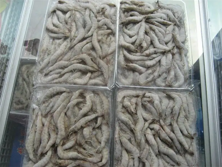 1655116084227601.png 天津冷凍產(chǎn)品進口報關(guān)公司.png