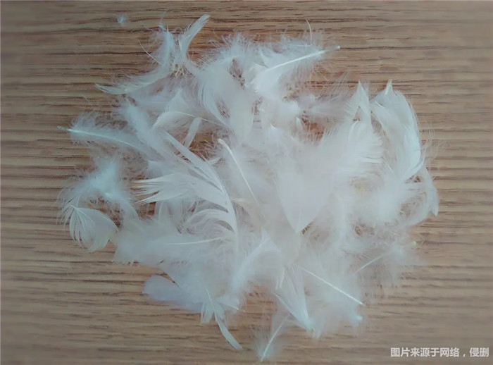 1670322312967922.jpg 水洗白鴨毛進(jìn)口報關(guān).jpg